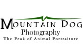 Mountain Dog Photography