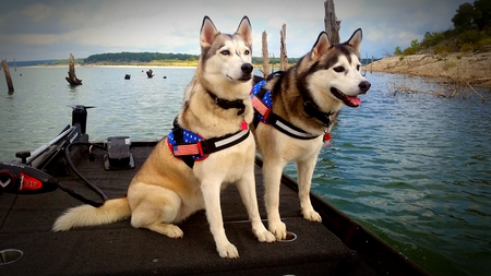 Meko and Shiloh