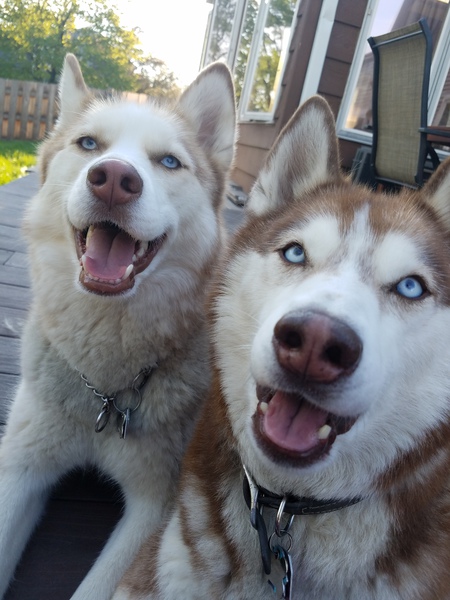 Kaia & Kodi