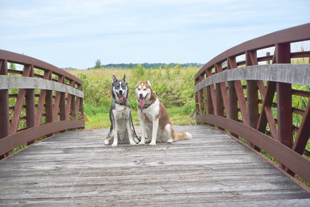 Larry and Remy