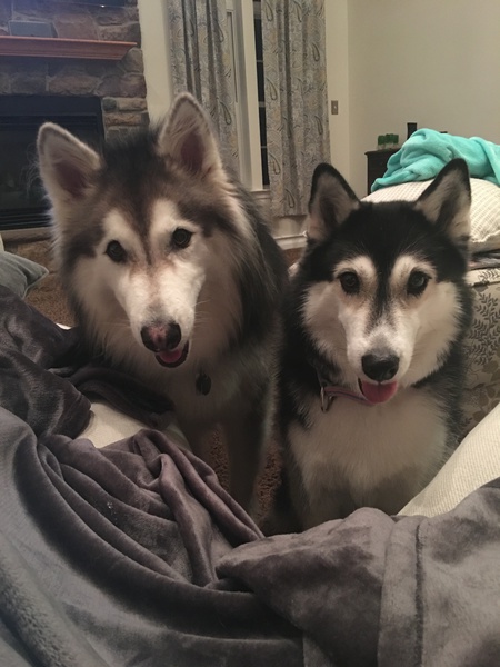 Maya & Nikko