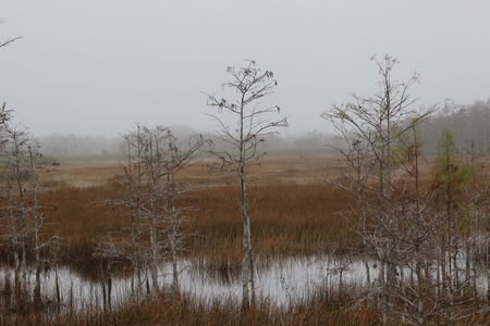 Sliver morning at Grassy Waters