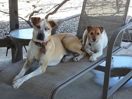 Callie and Dale, JR.