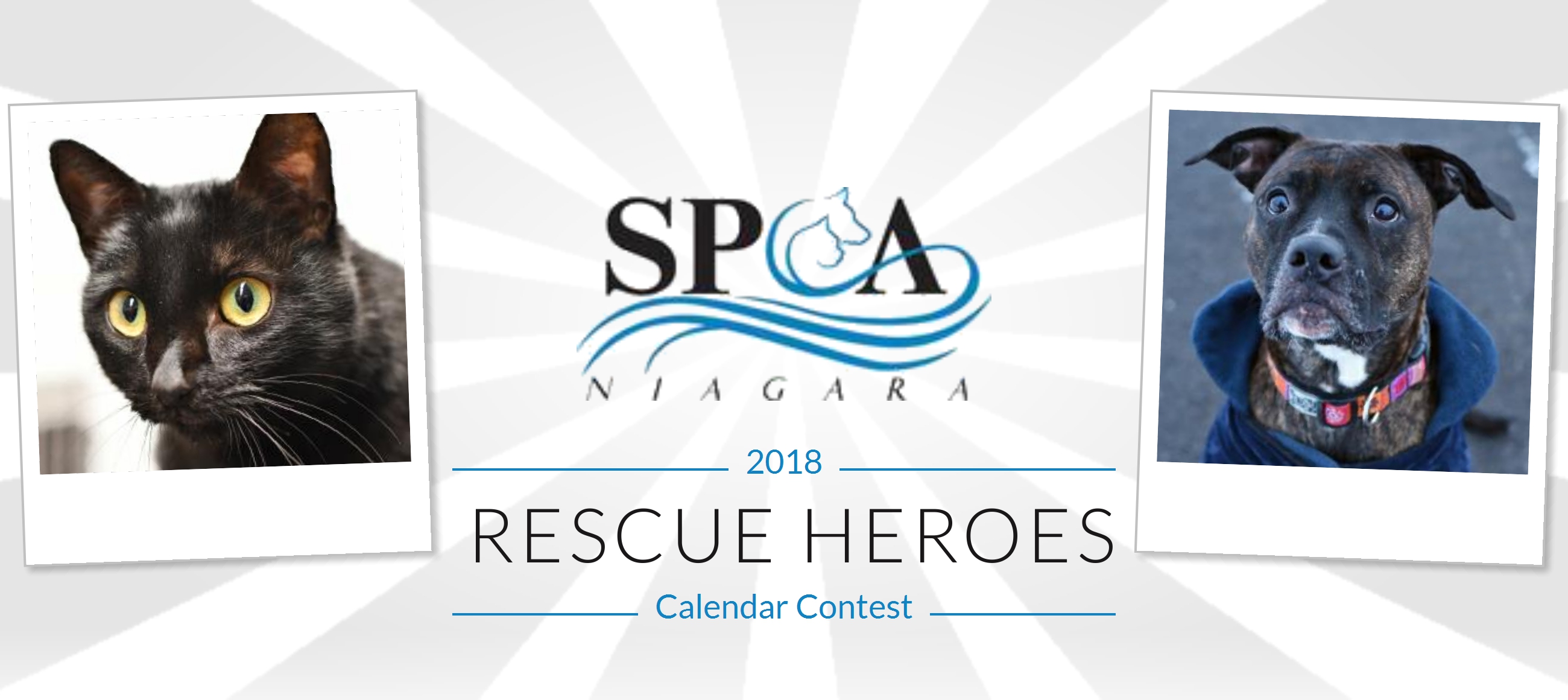 Niagara County SPCA Niagara SPCA's Rescue Heroes Calendar Contest