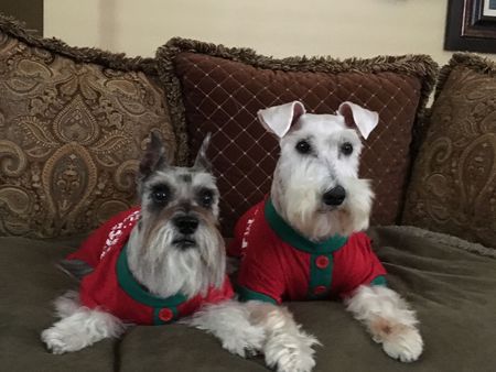 Buddy Mac (on right) and his sister Gracie