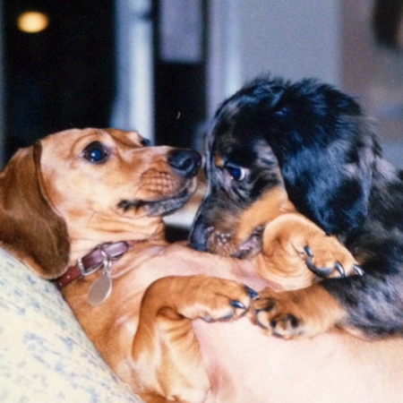 Ashley and Harley Berger