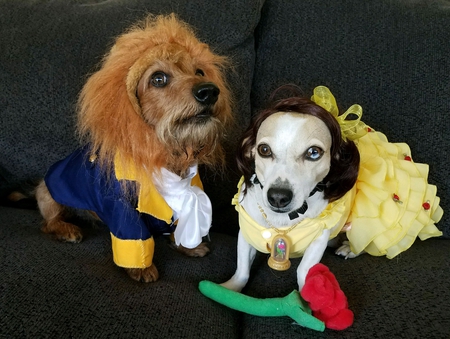 Odie & Sandy