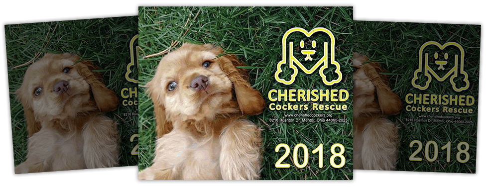 Cherished Cockers Rescue Cherished Cockers 2019 Photo - 