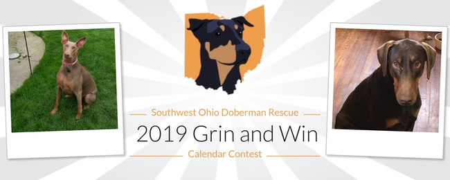 Rules Southwest Ohio Doberman Rescue Southwest Ohio Doberman Rescue 19 Grin And Win Calendar Contest