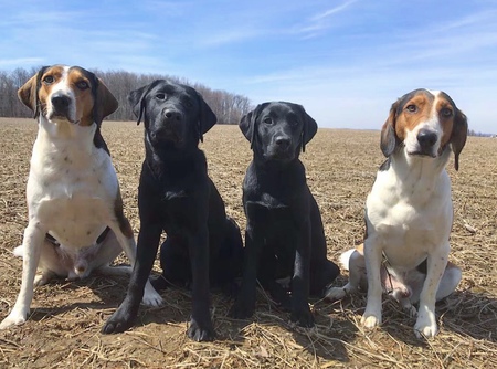 Wade, Jocko, Hanai & Cooper