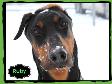 Ruby
