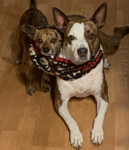 Kona & Blake