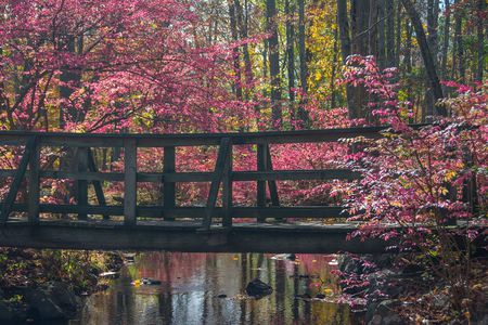 Wooden Bridge over Ringwood Brook at autumn