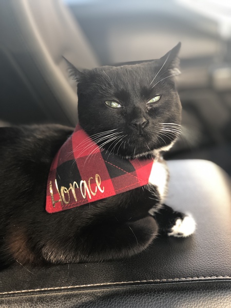 Horace