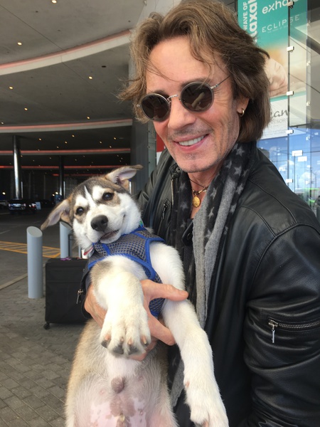 Coben  & Godfather, Rick Springfield 