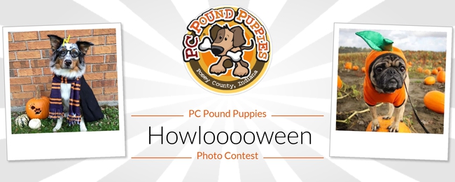 Posey County Pound Puppies Howlooooween Contest