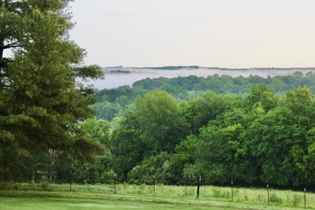 Fog over Hickman County