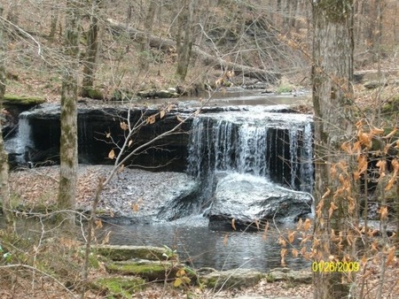 Trace Creek Waterfall 2009