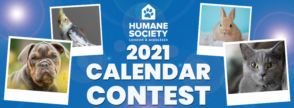 humane society calendar 2021 Humane Society London Middlesex Hslm S 2021 Calendar Photo Contest humane society calendar 2021