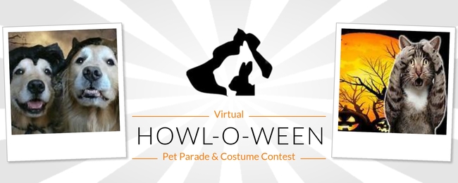 pet costume contest Template