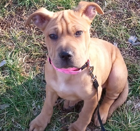Gabbie