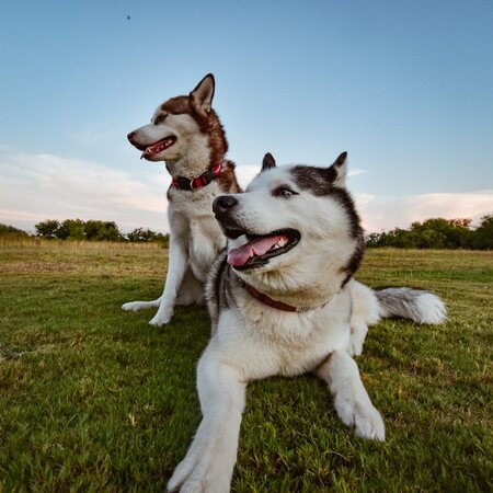 Kira & Lexi