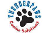 Thunderpaws Canine Solutions