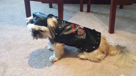 Scrappy The Biker 