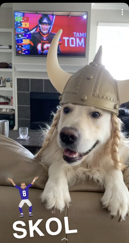 Denver the Viking dog