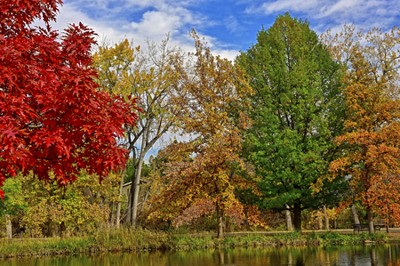 Oak Grove Colors