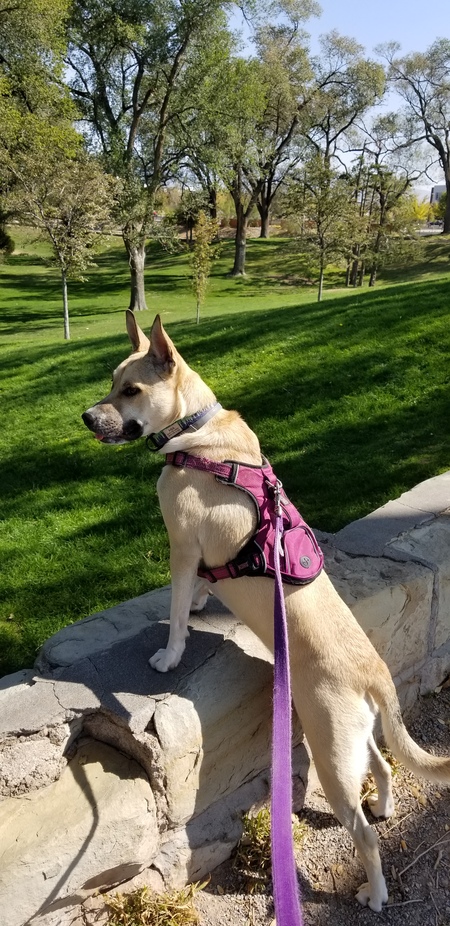 Mia