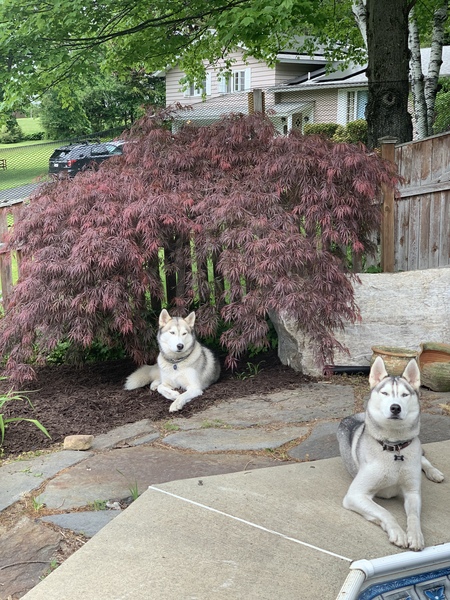 Atreyu & Malakai