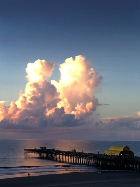 Morning in Myrtle