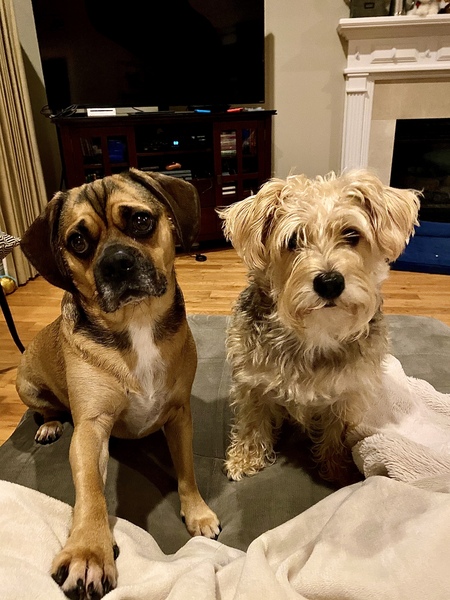 Maisey & Fergus