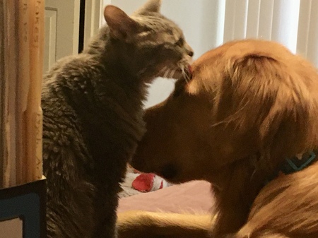 Love