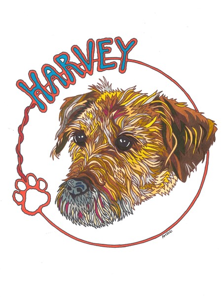 Harvey