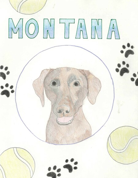 Montana