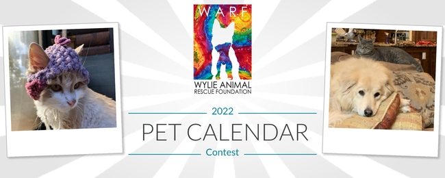 Wylie Animal Rescue Foundation 2022 Pet Calendar Contest