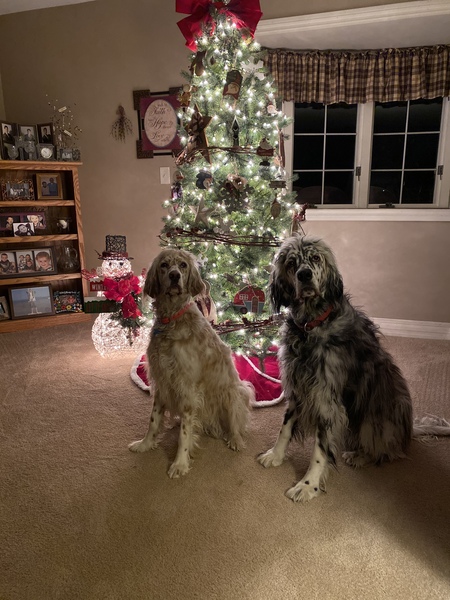 Sophie and Sadie 