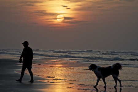 Early morning dog walk