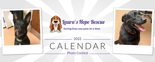 Laura's Hope Rescue | Laura's Hope Rescue Calendar