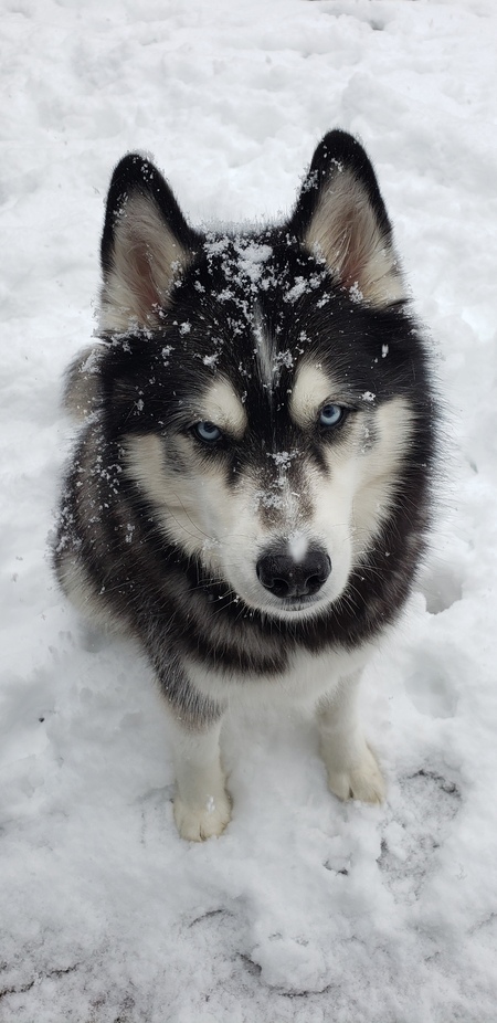 Kenai