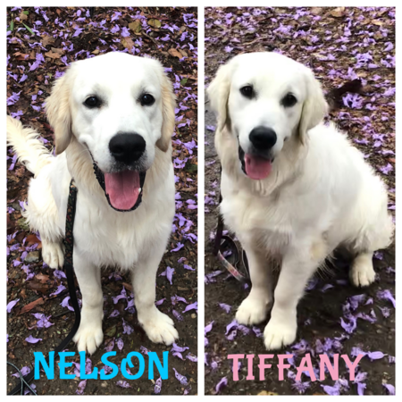 TIffany and Nelson 