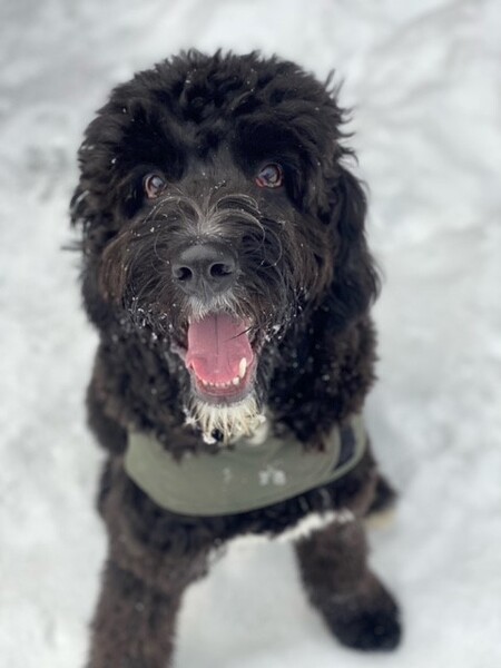 Walter 