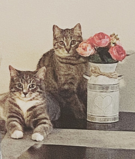 Bonnie and Clyde 
