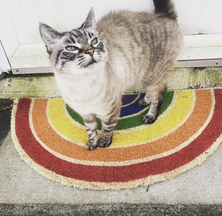 Tiny aka Sugar Baby