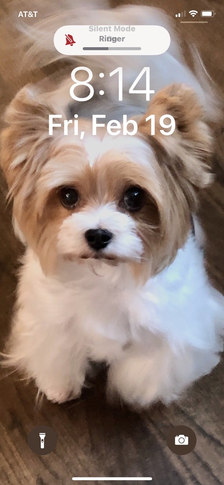 Miss Charlie