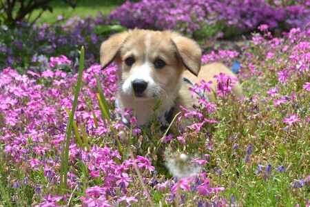Ein