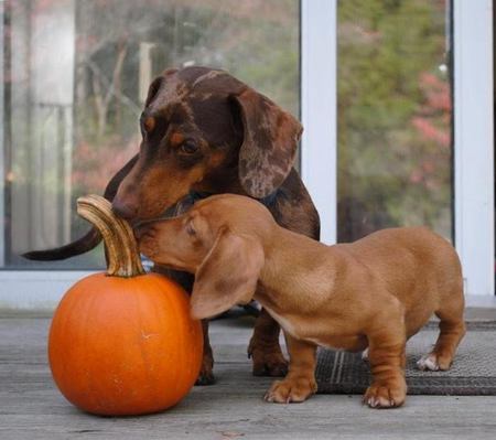 Henry and Susan