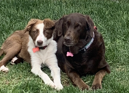 Ruby & Shelby 